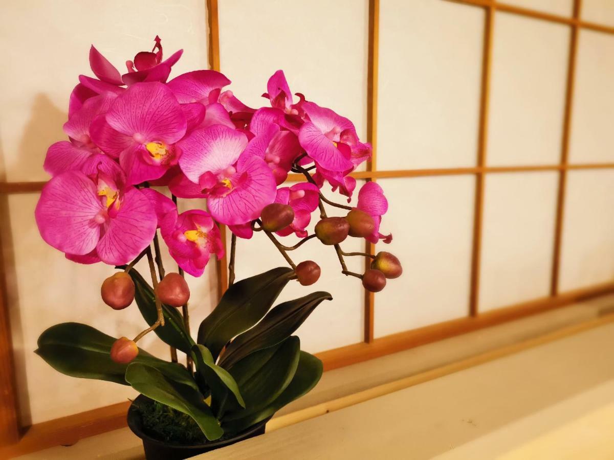 Opopo home 竜宮店 小樽 外观 照片